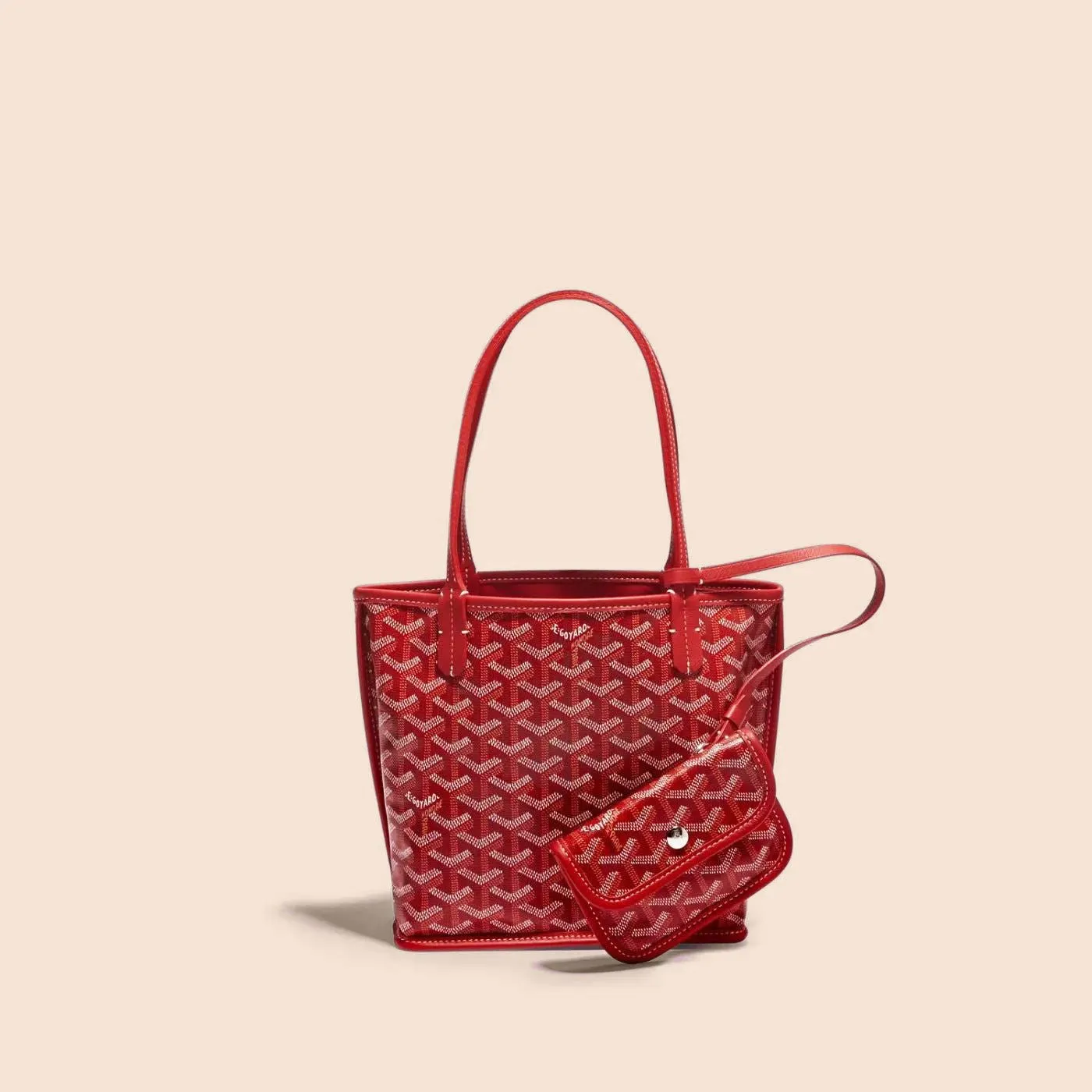Veyra Revesible Mini Tote