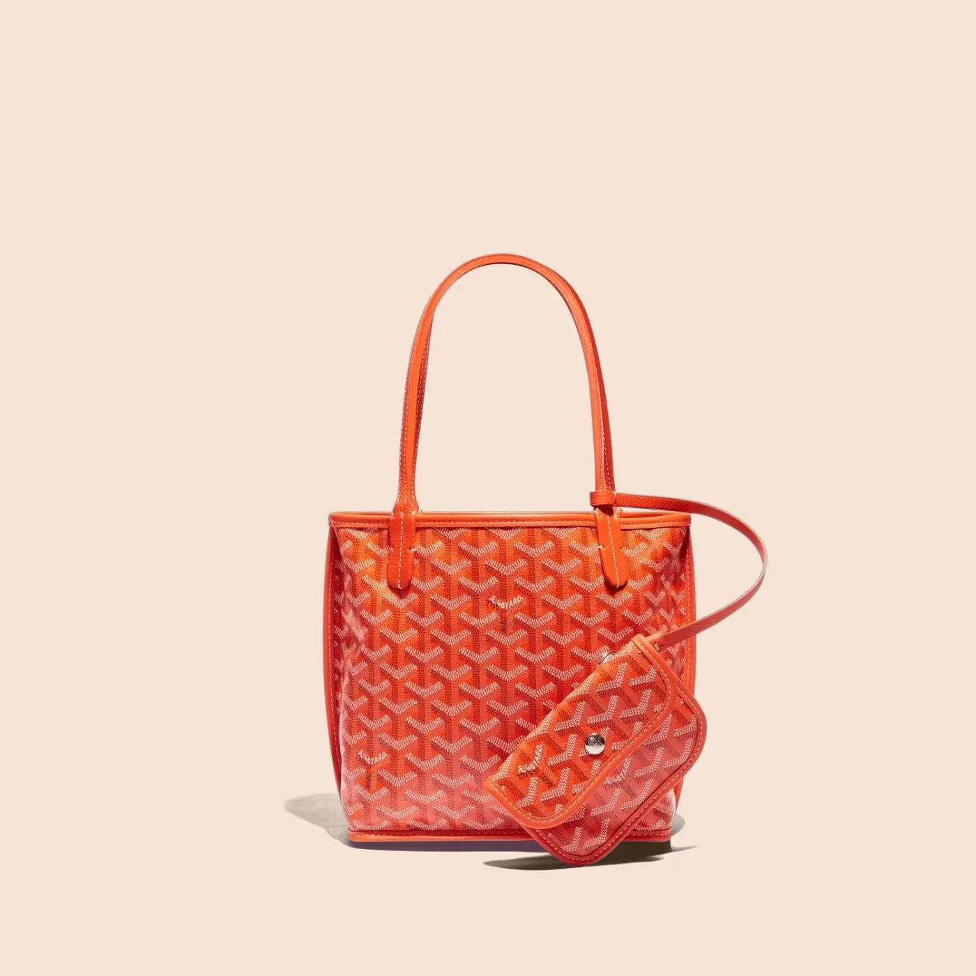 Veyra Revesible Mini Tote