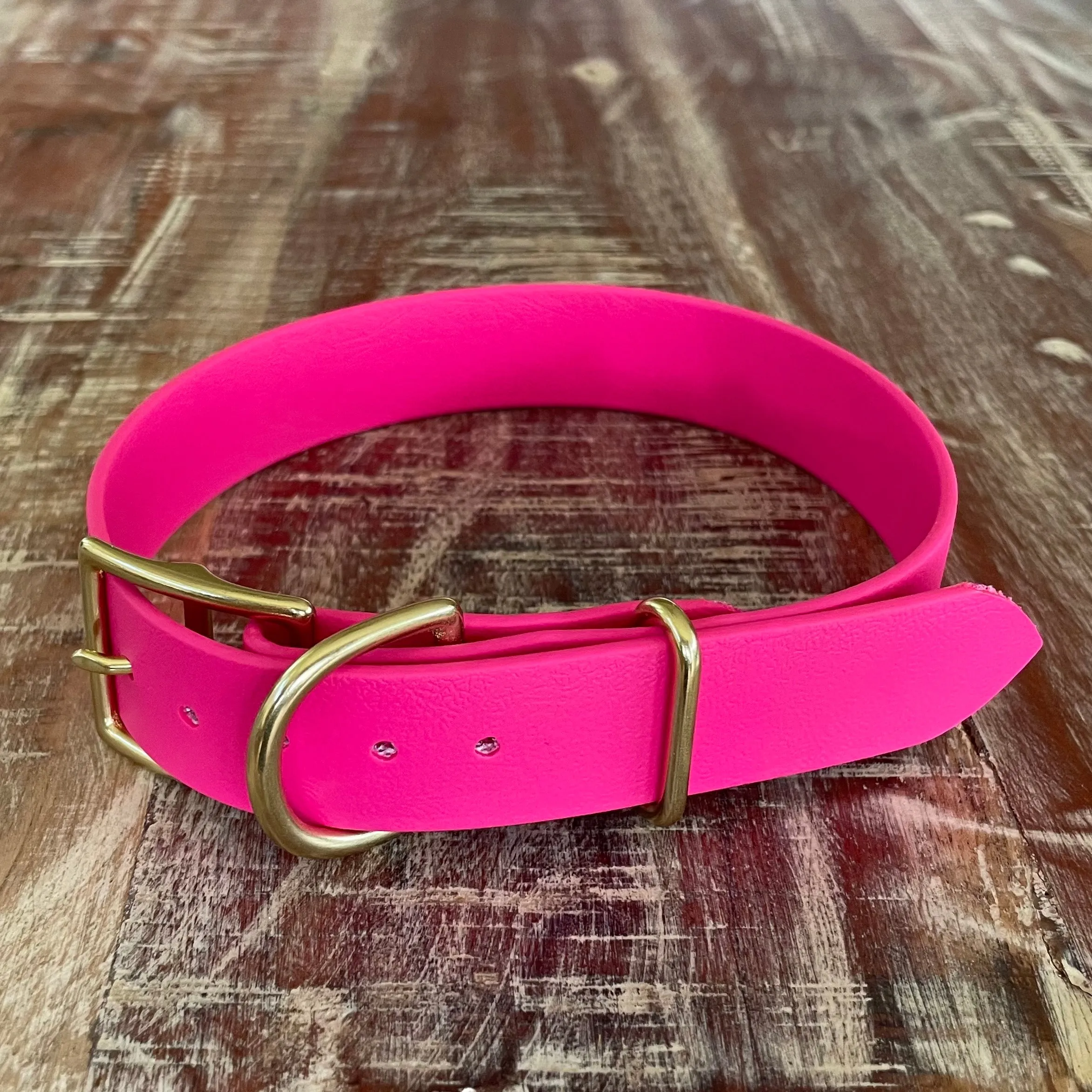 Waterproof Buckle Collar : Neon Pink   Brass