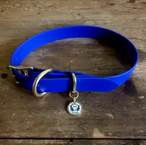 Waterproof Buckle Collar : Royal   Brass