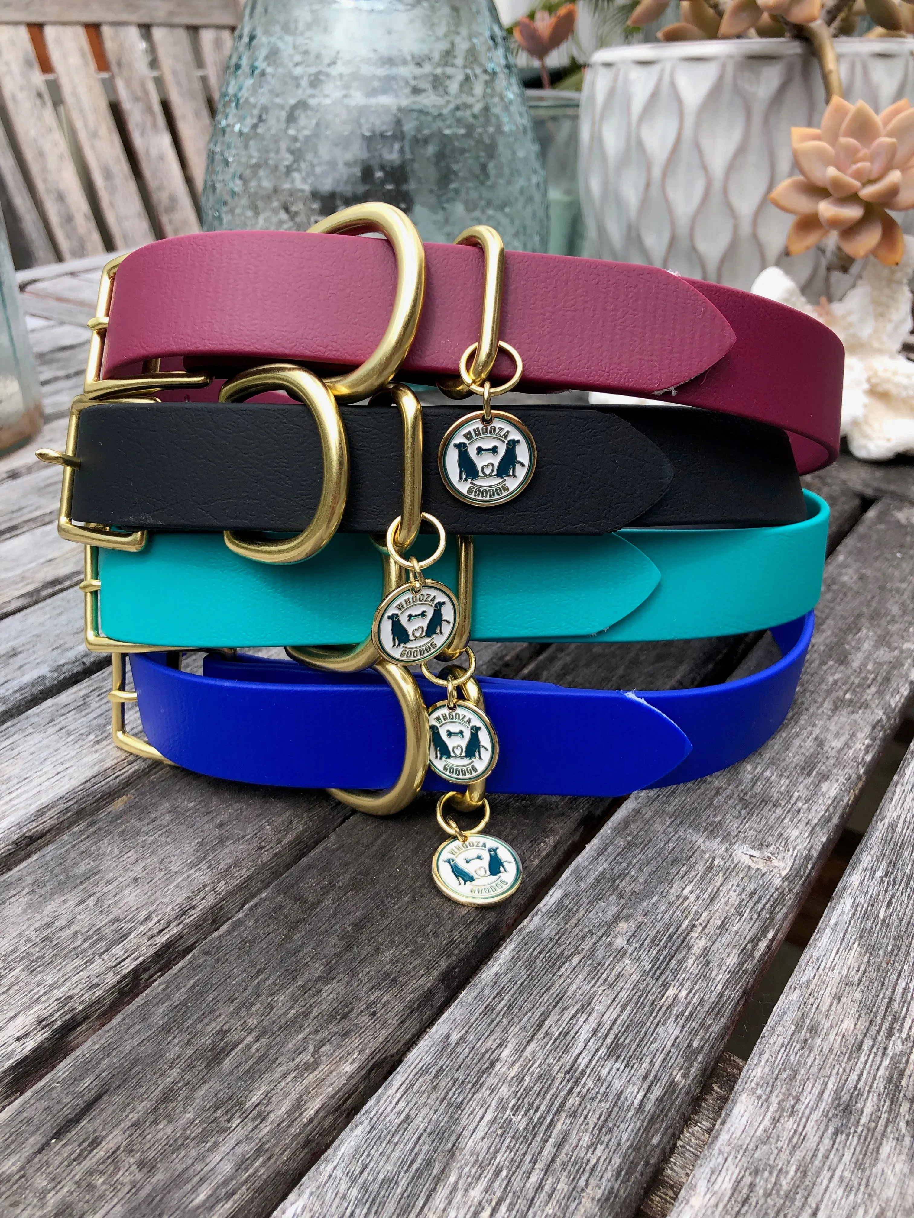 Waterproof Buckle Collar : Royal   Brass