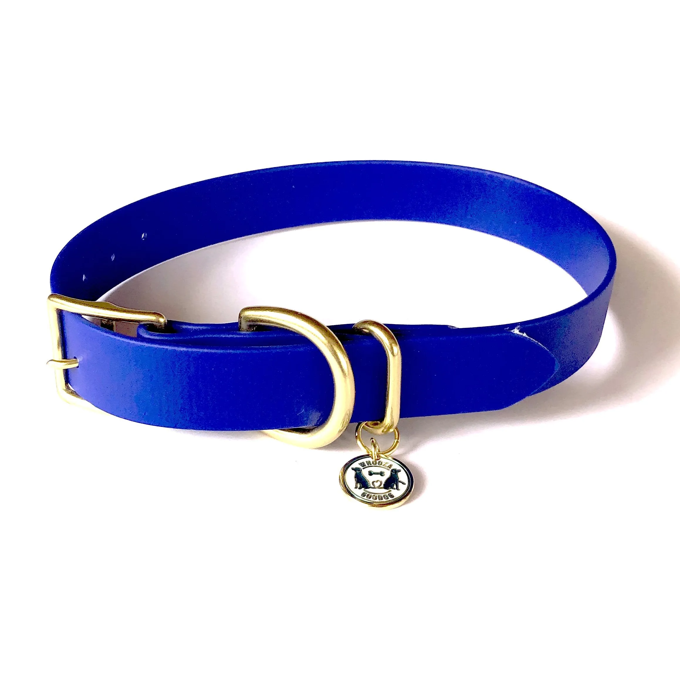Waterproof Buckle Collar : Royal   Brass