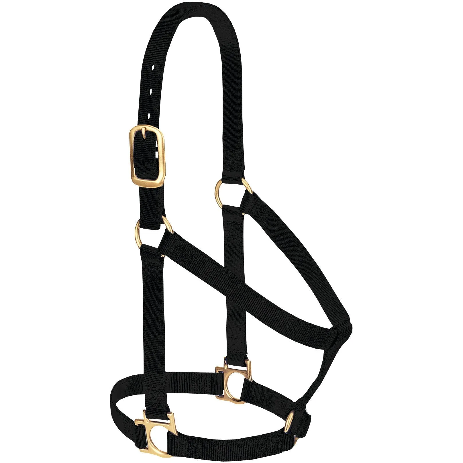 Weaver Basic Non-Adjustable Nylon Halter, 1" Average Horse (Multiple Color Options)
