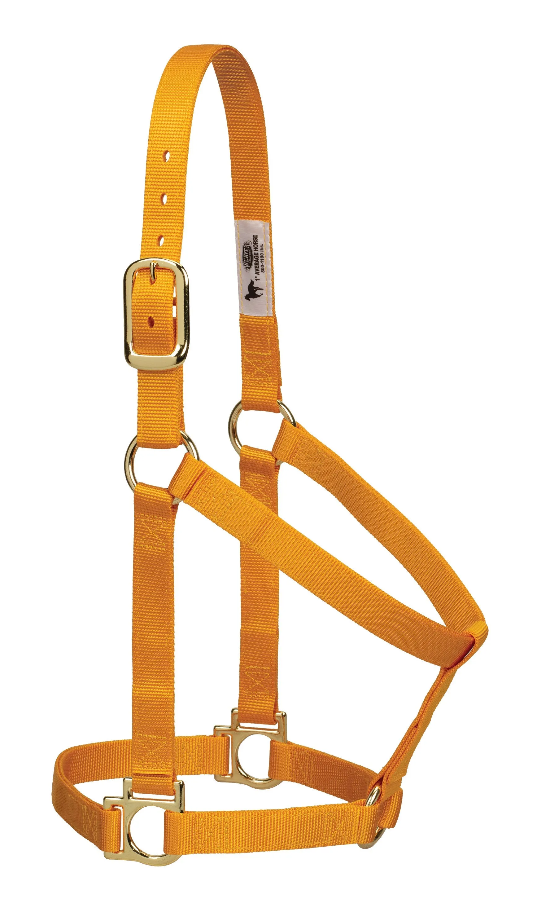 Weaver Basic Non-Adjustable Nylon Halter, 1" Average Horse (Multiple Color Options)