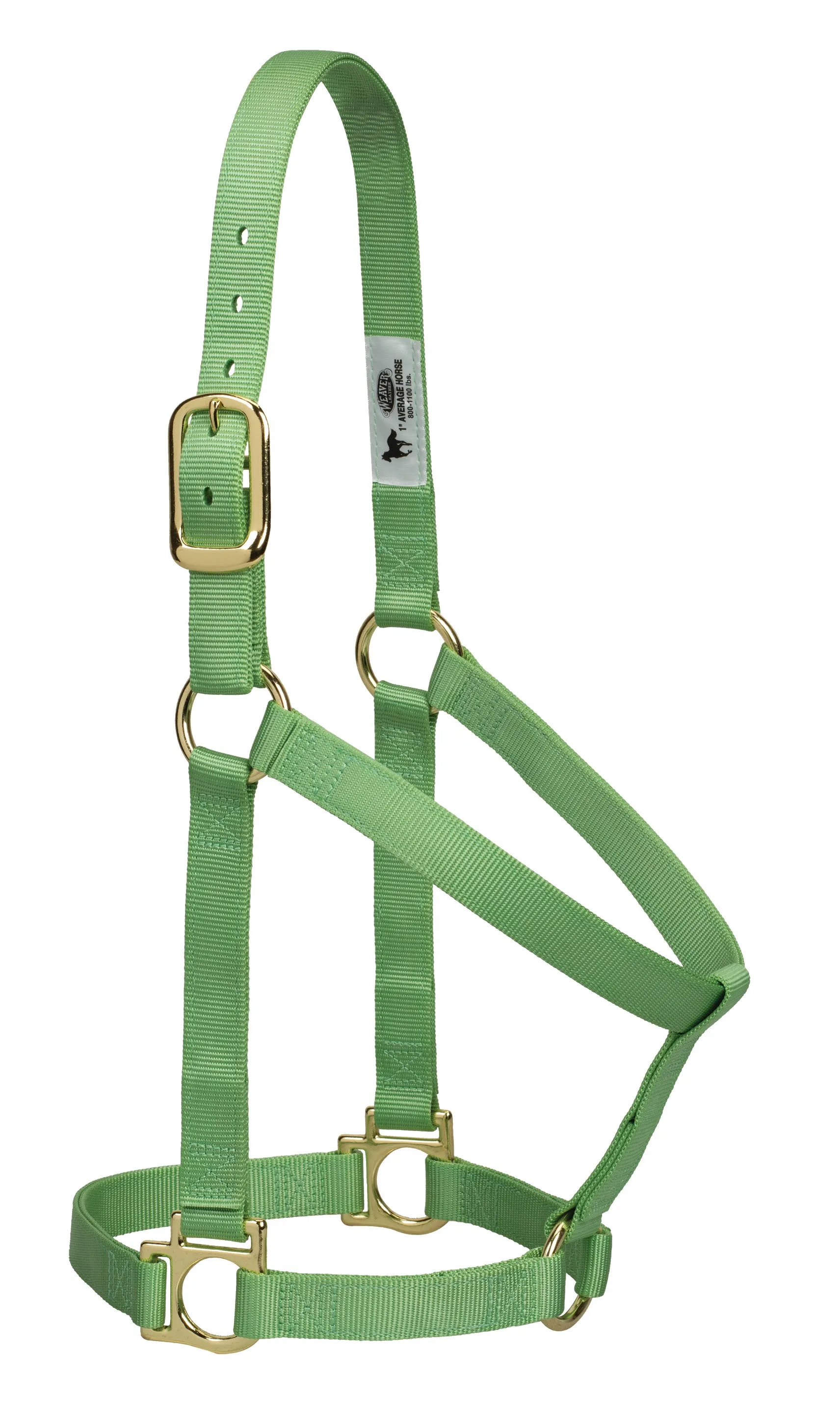 Weaver Basic Non-Adjustable Nylon Halter, 1" Average Horse (Multiple Color Options)