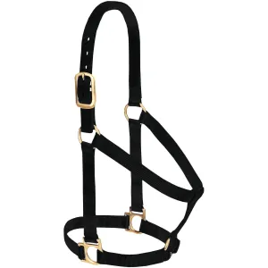 Weaver Basic Non-Adjustable Nylon Halter, 1" Average Horse (Multiple Color Options)