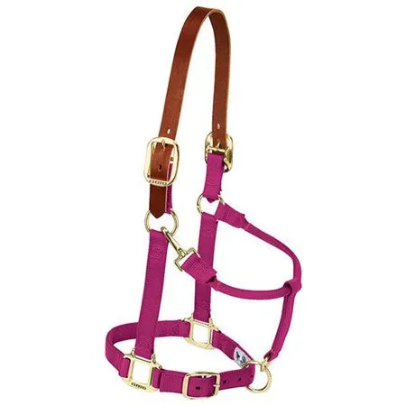 Weaver Breakaway Original Adjustable Chin and Throat Snap Halter, 3/4" Weanling/Pony (Multiple Color Options)