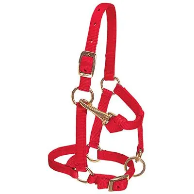 Weaver Leather Miniature Horse Adjustable Chin and Throat Snap Halter, 5/8" Large