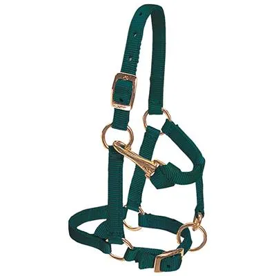 Weaver Leather Miniature Horse Adjustable Chin and Throat Snap Halter, 5/8" Large