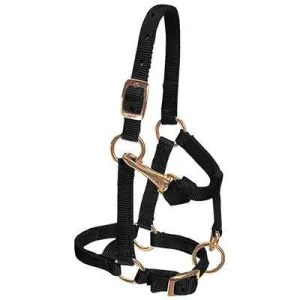 Weaver Leather Miniature Horse Adjustable Chin and Throat Snap Halter, 5/8" Large