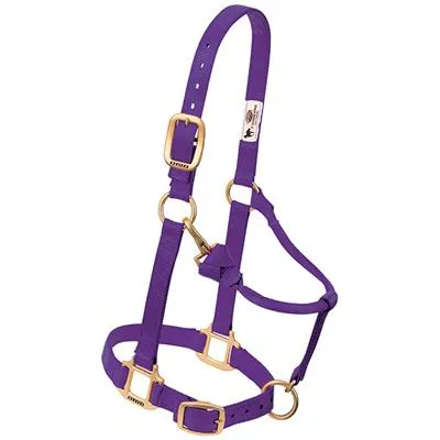 Weaver Leather Original Adjustable Chin and Throat Snap Halter, 1" Average Horse or Yearling Draft