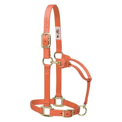 Weaver Leather Original Adjustable Chin and Throat Snap Halter, 1" Average Horse or Yearling Draft