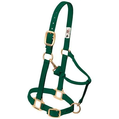 Weaver Leather Original Adjustable Chin and Throat Snap Halter, 1" Average Horse or Yearling Draft