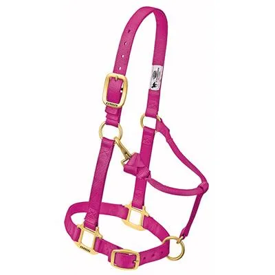 Weaver Leather Original Adjustable Chin and Throat Snap Halter, 1" Small Horse or Weanling Draft