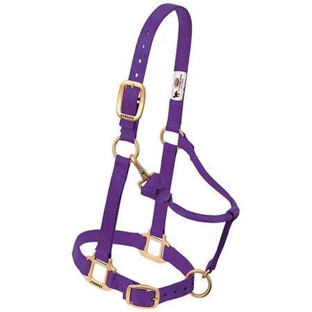 Weaver Original Adjustable Nylon Halter-Weanling/Pony