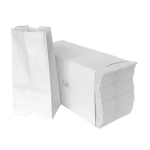 White Paper Bag 500 ct Bundle #16 (7.7" x 4.8" x 16") - Case - 500 Units