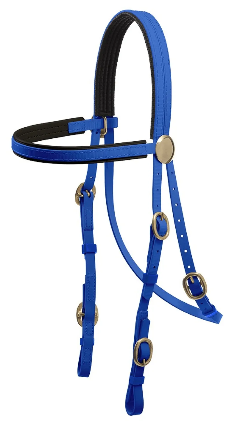 Zilco Bridle Race Brass Buckle