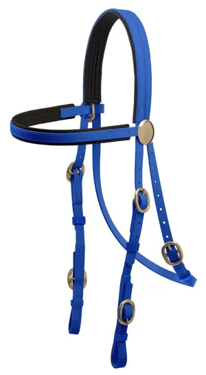 Zilco Bridle Race Brass Buckle